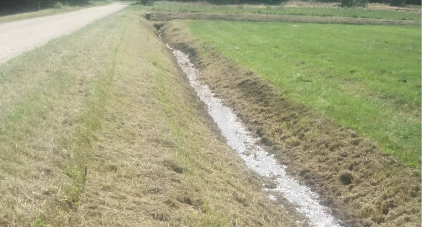 Wykoszony rów fot. Mikołaj Zakrzewski