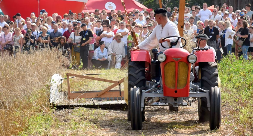 Podlaskie Święto Chleba 2025