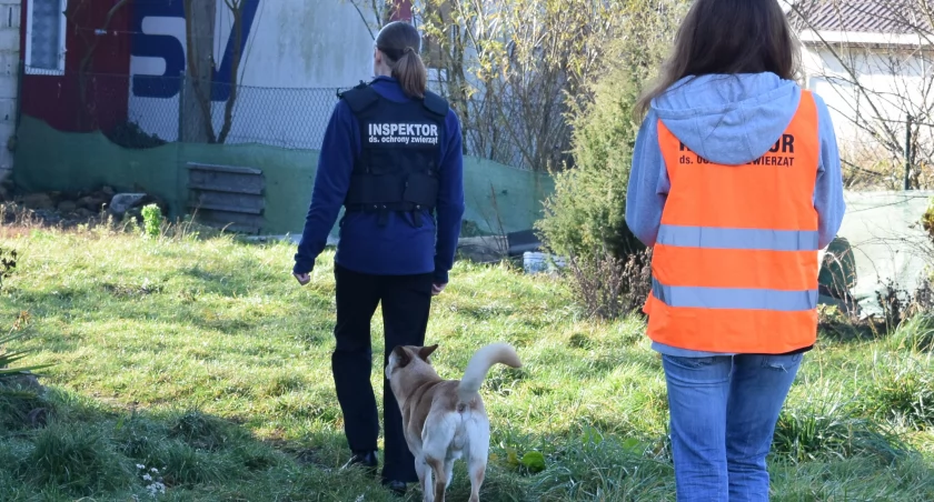 Na zdjęciu interwencja PIOZ