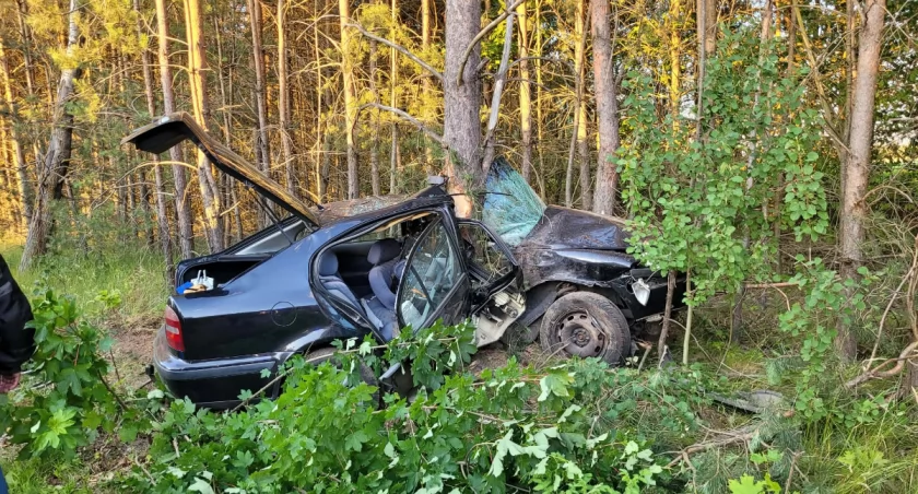 Na zdjęciu wypadek w Serpelicach
