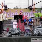 zdjęcie nr 15
