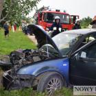 Fotka nr 3 z 10