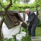 zdjęcie nr 10