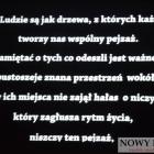 zdjęcie nr 58