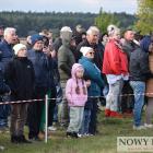 zdjęcie nr 47