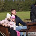 zdjęcie nr 53