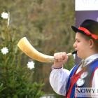 zdjęcie nr 26