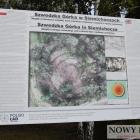 zdjęcie nr 39