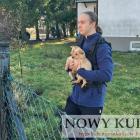 zdjęcie nr 19