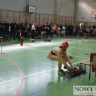 zdjęcie nr 22