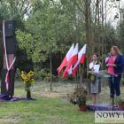 zdjęcie nr 9