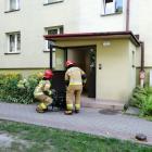 Fotka nr 4 z 6