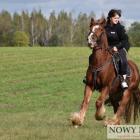 zdjęcie nr 39