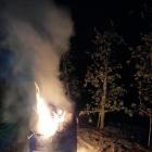 Fotka nr 3 z 11