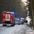 Fotka nr 1 z 2