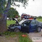 Fotka nr 2 z 10