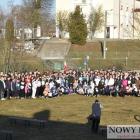 zdjęcie nr 25
