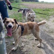 zdjęcie nr 