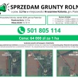 zdjęcie nr 