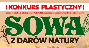 Sowa z darów natury