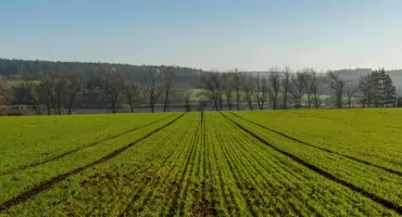 Nowoczesne technologie w ochronie upraw – jak mądrze zaplanować sezon i maksymalizować plony?